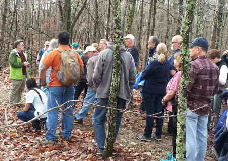 New Year's Walk 2017